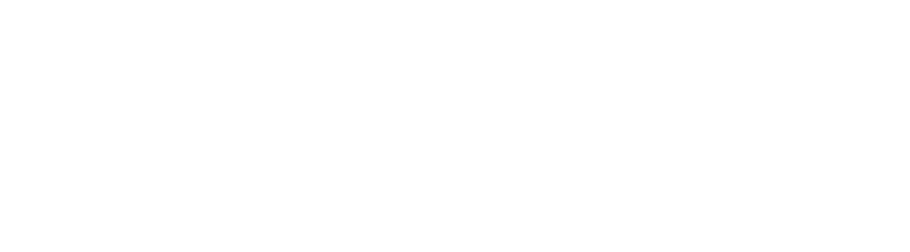 Aneantix logo