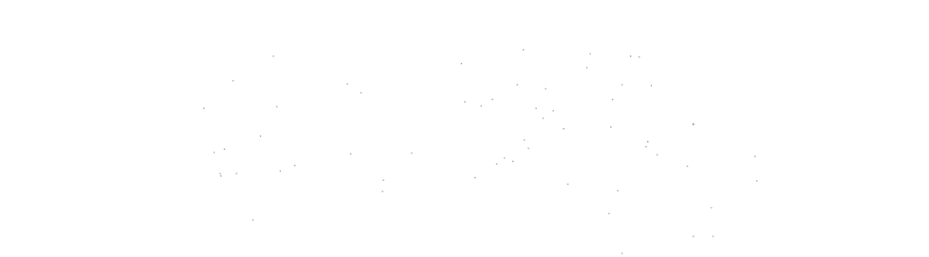 Motorwolf logo